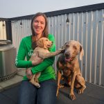 Comment empêcher mon chien de chasser les écureuils ?