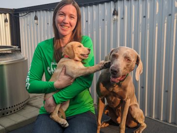 Avez-vous déjà choisi la mauvaise race de chien ? - img