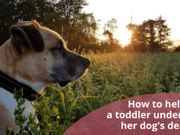 Comment aider un tout-petit à comprendre la mort d'un chien ? - img