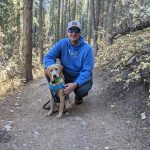 Chronologie du dressage des chiots selon l&rsquo;âge