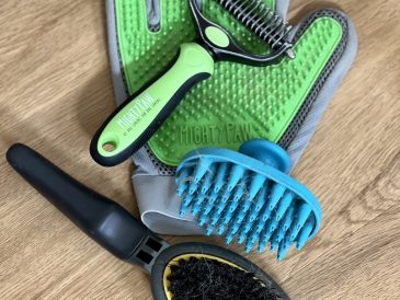 Comment empêcher un chien de se débarrasser de ses poils - img