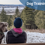 Comment choisir un éleveur de chiens