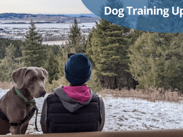 Dressage de mon Weimaraner - 2021 Mise à jour sur le dressage ! - img