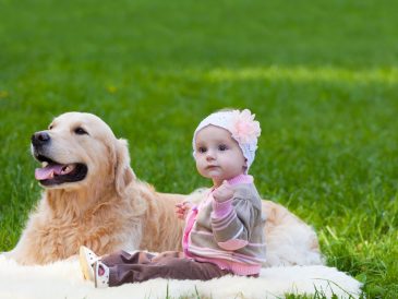 La culpabilité de la mère d'un chien après la naissance d'un bébé - img