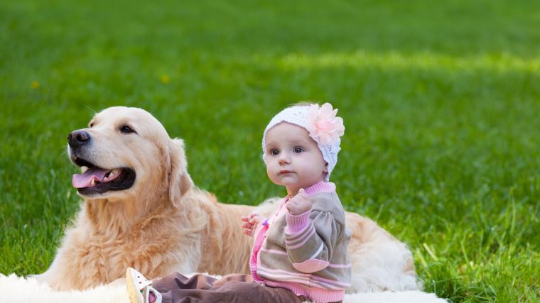 La culpabilité de la mère d'un chien après la naissance d'un bébé - img