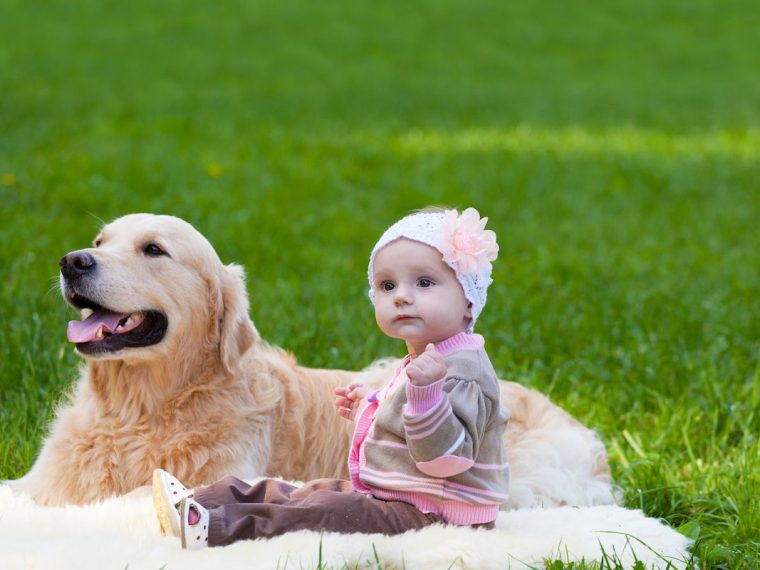 La culpabilité de la mère d'un chien après la naissance d'un bébé - img