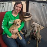 Vivre avec un chien mâle intact