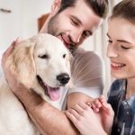 Comment nourrir son chien avec des aliments crus ?