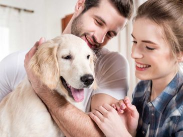 Quel âge a mon chien ? Comment déterminer l'âge de votre chien ? - img