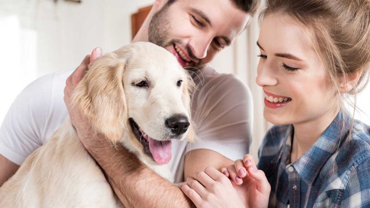 Quel âge a mon chien ? Comment déterminer l'âge de votre chien ? - img