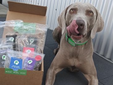 Real Dog Box : avis et cadeau - img