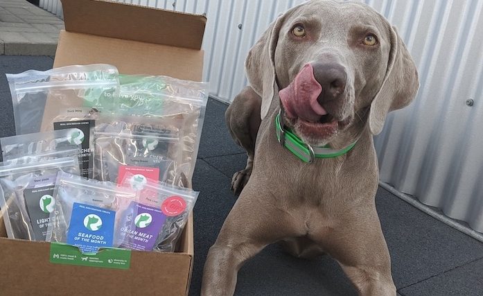 Real Dog Box : avis et cadeau - img