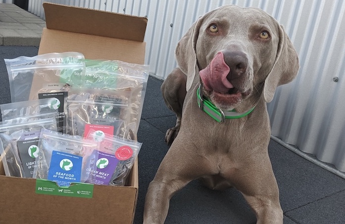 Real Dog Box : avis et cadeau - img