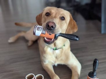 Rouleaux d'épilation pour animaux de compagnie - Mighty Paw - img