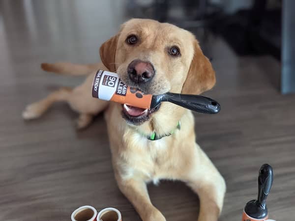 Rouleaux d'épilation pour animaux de compagnie - Mighty Paw - img