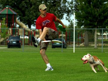 Qu'est-ce que le Disc Dog ? - img