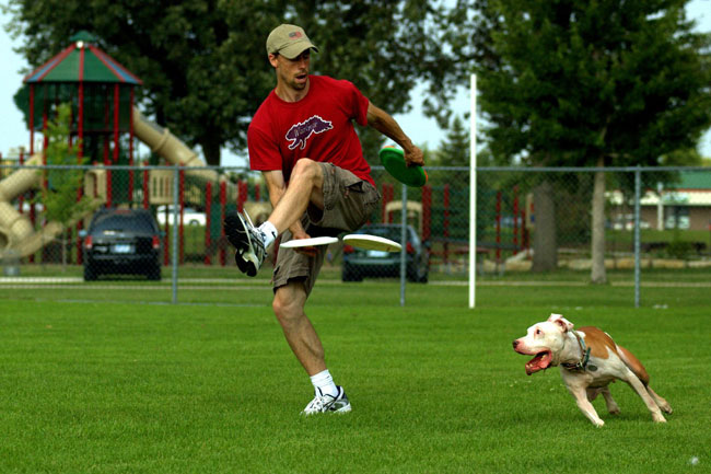 Qu'est-ce que le Disc Dog ? - img