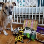 Dalton&rsquo;s Premium Treats Review