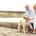 Comment réduire le stress de votre chien pendant les fêtes de fin d&rsquo;année ?