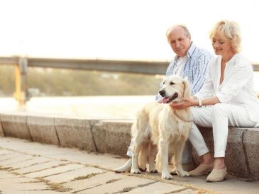 Aider les personnes âgées à prendre soin de leurs chiens - img