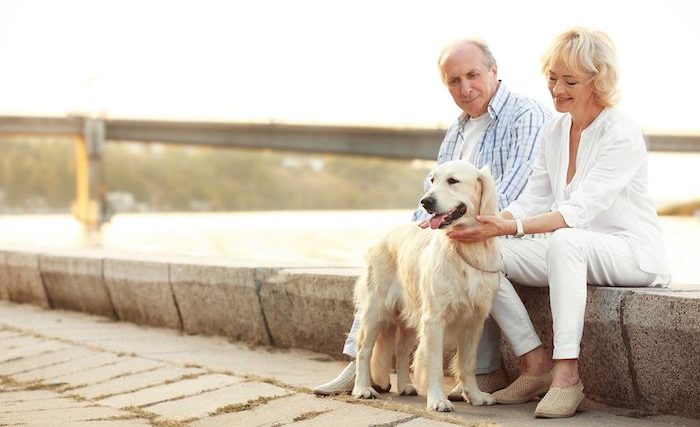 Aider les personnes âgées à prendre soin de leurs chiens - img