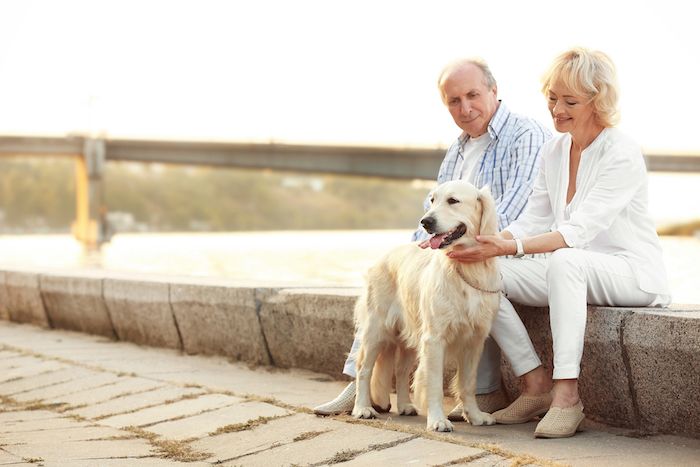 Aider les personnes âgées à prendre soin de leurs chiens - img