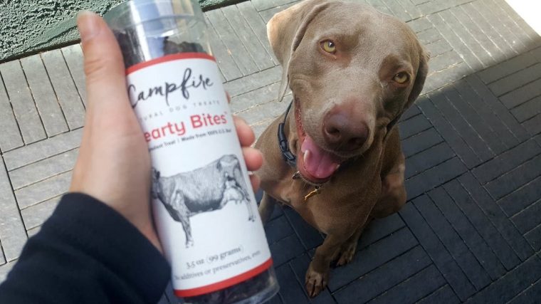 Campfire Natural Dog Treats : test et cadeau - img