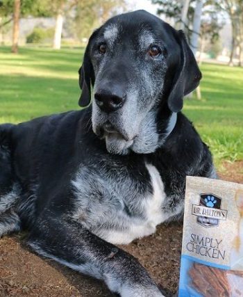 Dalton's Premium Treats Review - img