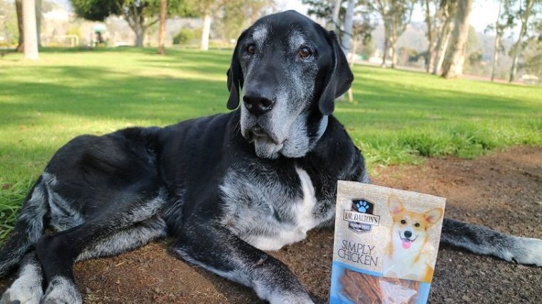 Dalton's Premium Treats Review - img