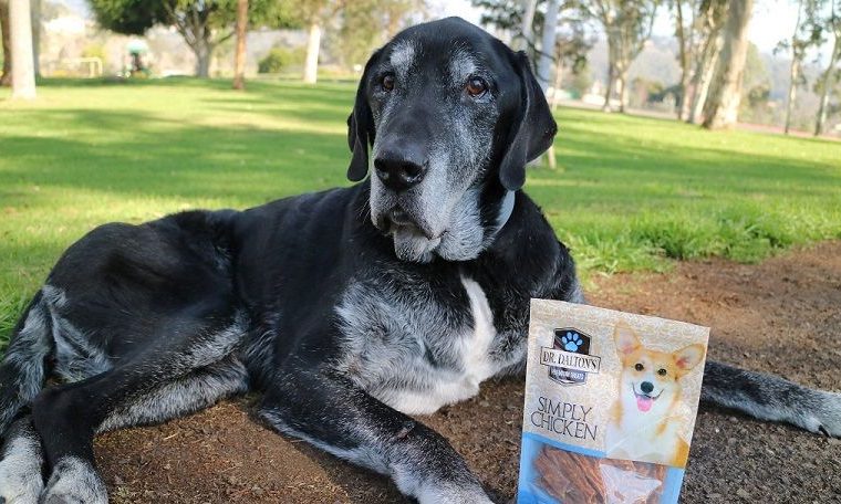 Dalton's Premium Treats Review - img