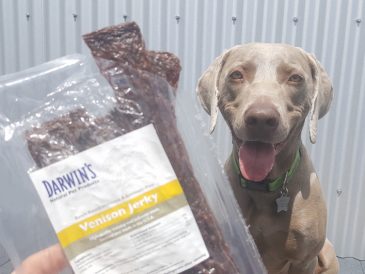 Darwin's Venison Jerky Treats pour chiens - Viande de venaison pour chiens - img