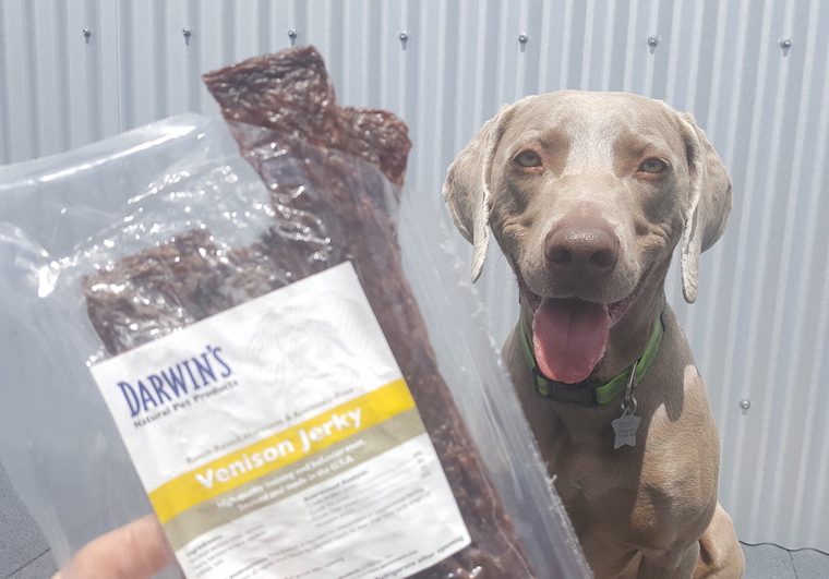Darwin's Venison Jerky Treats pour chiens - Viande de venaison pour chiens - img
