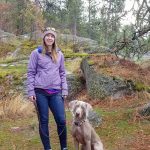 Informations sur les chiens guides d&rsquo;aveugle : ce qu&rsquo;ils font, leur dressage, etc.