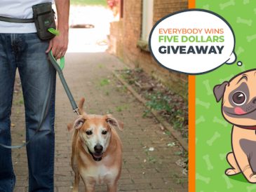 Énorme cadeau Mighty Paw ! 500 $ en argent comptant + produits - img