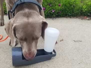 Gamelle portable pour eau et nourriture pour chien - Poochables to Go Review - img