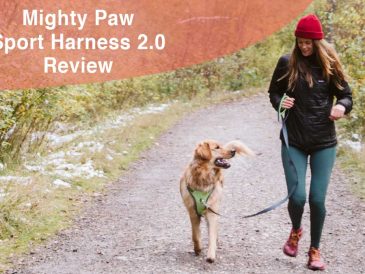 Harnais Mighty Paw Sport 2.0 Review - img