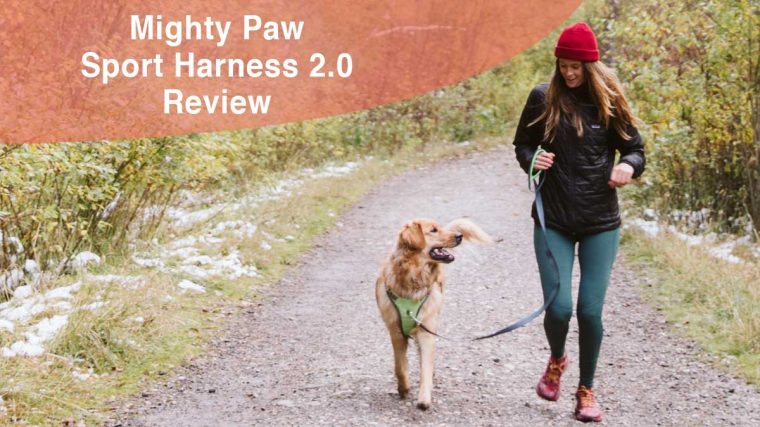 Harnais Mighty Paw Sport 2.0 Review - img