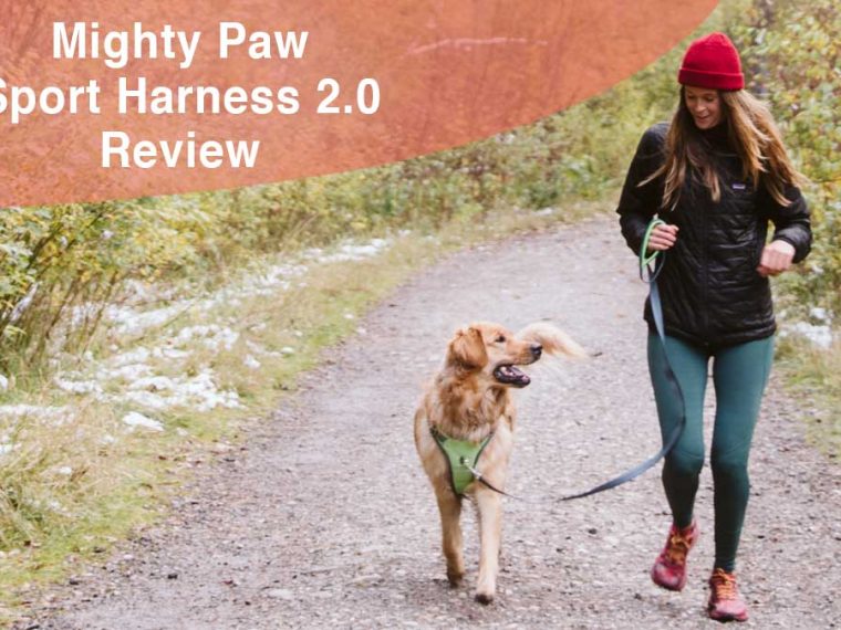 Harnais Mighty Paw Sport 2.0 Review - img