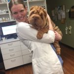 Comment introduire un deuxième chien en toute sécurité – Caisses et barrières