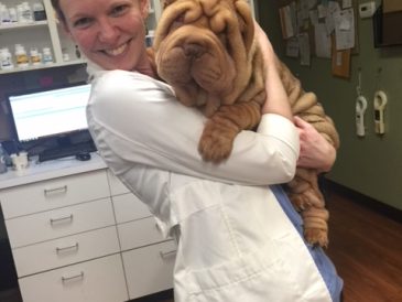 Interview : Dr. Jennifer Summerfield, auteur de "Train Your Dog Now ! - img