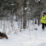 Anxiété du chien – Comment aider mon chien anxieux ?