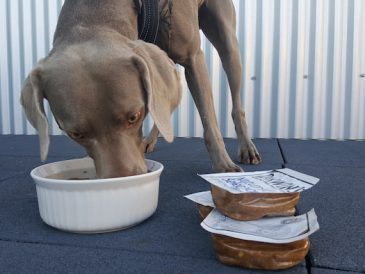 L'alimentation crue pour chiens pour les débutants - Les bases de l'alimentation crue DIY - img