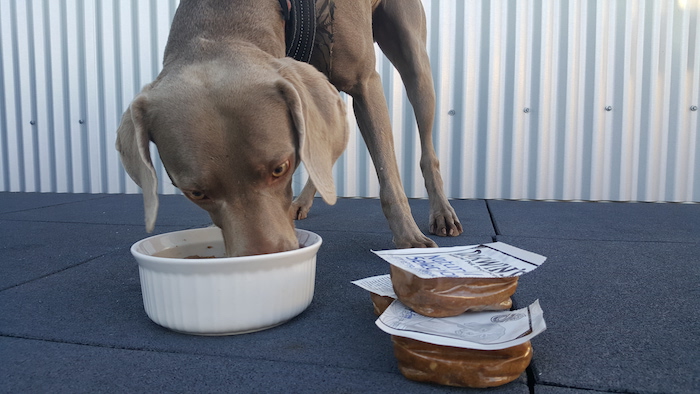 L'alimentation crue pour chiens pour les débutants - Les bases de l'alimentation crue DIY - img