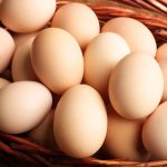L&rsquo;alimentation crue pour les chiots