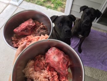 Où acheter de la viande d'organe pour l'alimentation crue des chiens ? - img