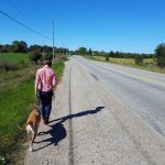 Comment empêcher un chien adulte de mordre ses mains pour le plaisir ?