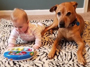 Préparer son chien à l'arrivée d'un bébé - Q&R avec Maggie Marton de Oh My Dog Blog - img