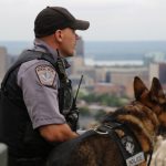Pourquoi ne pas répéter les ordres à votre chien ?