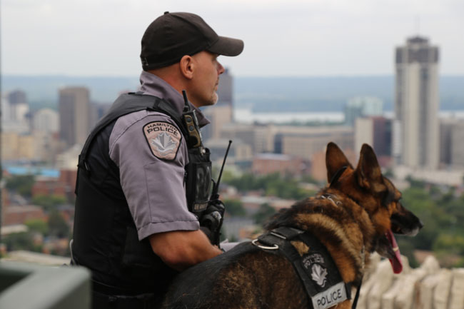 Que font les chiens policiers ? - img