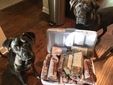 Qu'est-ce que les tripes vertes crues pour les chiens ? Quels sont les avantages des tripes vertes ? - img